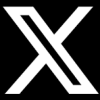 x icon 2
